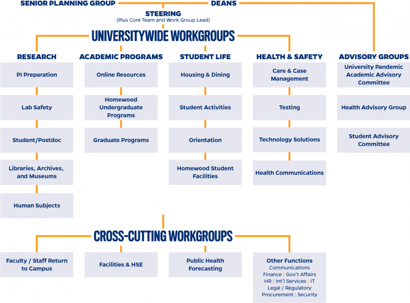 Johns Hopkins University Fall 2020 Planning Task Force Flow Chart