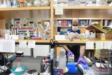A researcher works alone in the lab