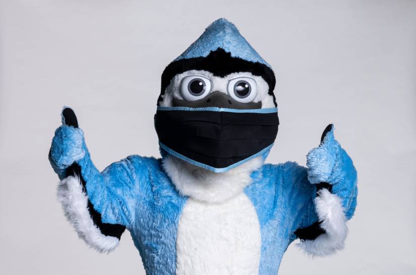 Blue Jay mascot in mask